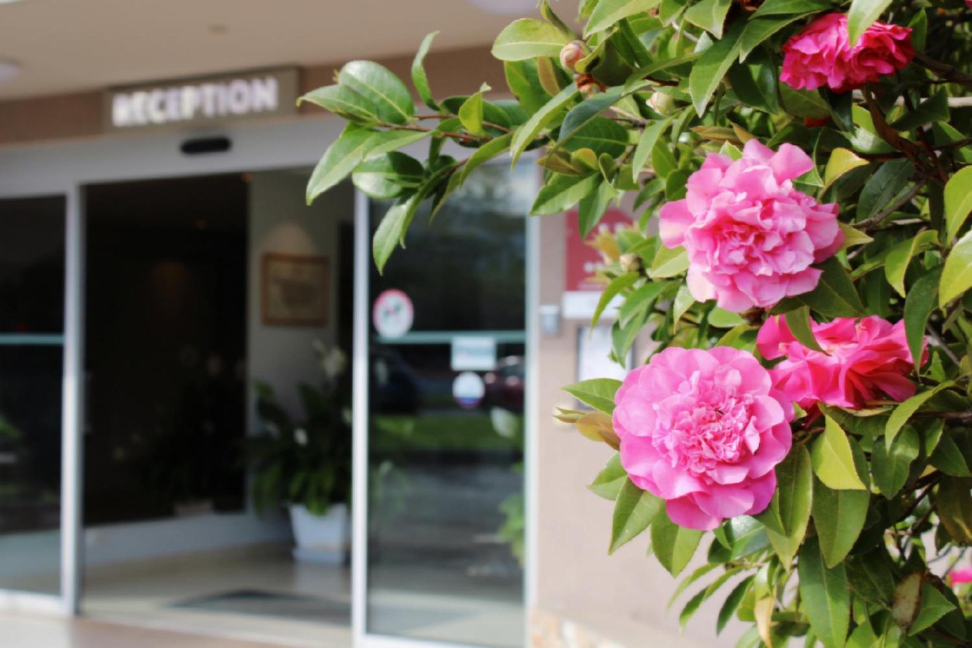 Hotel Poretta Lucciana (Corsica)
